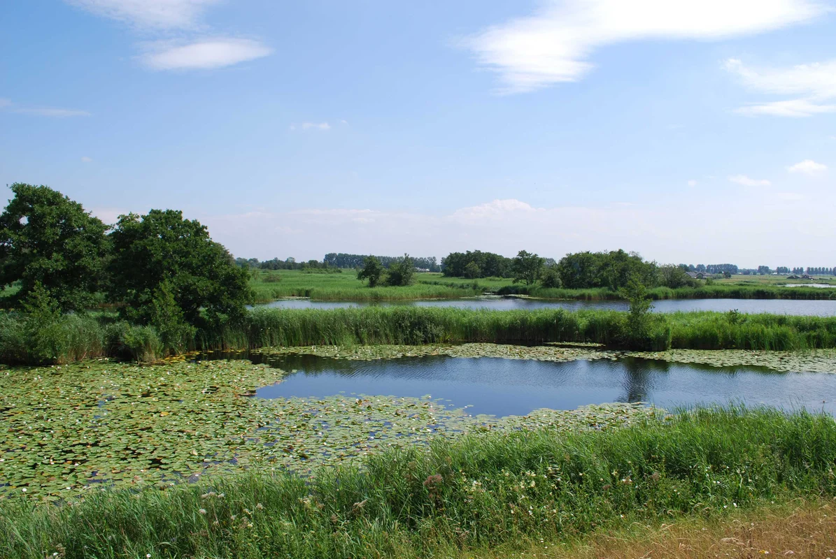 Natuurgebied Botshol (natura 2000)
